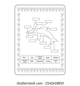 

Dolphin coloring book for kids