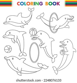 Dolphin Coloring Page Colored Illustration