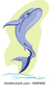 a Dolphin coming to the surface from underwater	