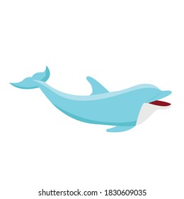 Dolphin Concept Vector flat illustrations