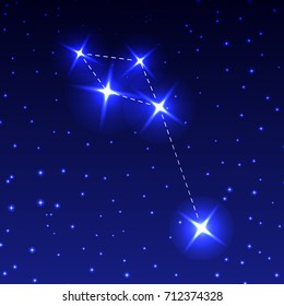 The Dolphin Constellation in the night starry sky. Vector illustration of the concept of astronomy