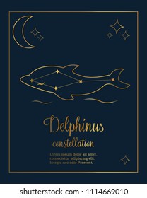 The Dolphin constellation Vector illustration