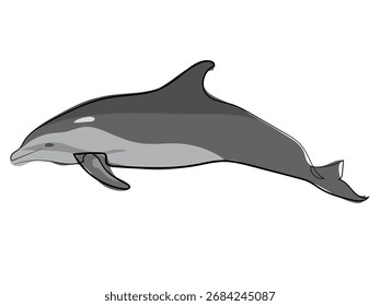 Dolphin in continuous line drawing style