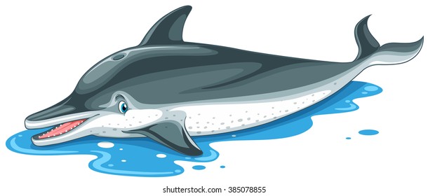 Dolphin with cute face on water illustration