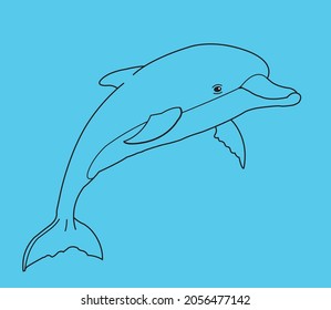 dolphin drawing with blue background illustration