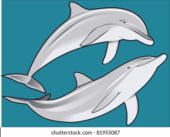 Dolphin Duo