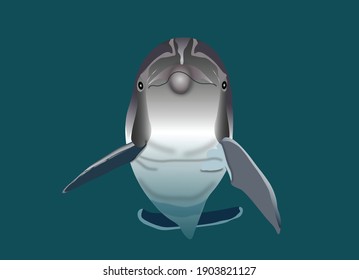 dolphin face looks from the front and appears from the water. Cute animal is man's best friend in the sea