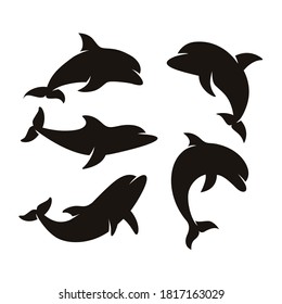 Dolphin fish animal silhouette. Vector illustration