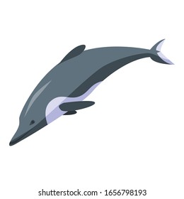 Dolphin fish icon. Isometric of dolphin fish vector icon for web design isolated on white background