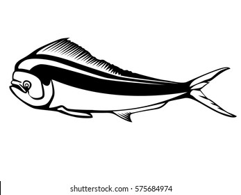 Dolphin fish isolated on white background. Emblem of fresh mahi mahi. Sport fishing club logo.