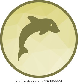 Dolphin, fish, jump