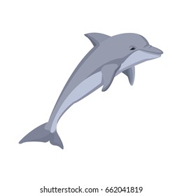 dolphin fish marine animal wildlife