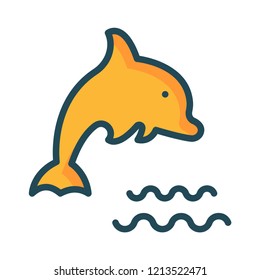 dolphin   fish  water  