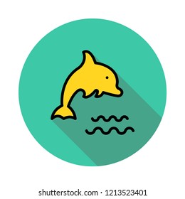dolphin   fish  water  