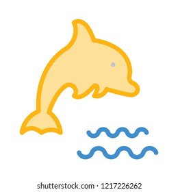 dolphin   fish  water  