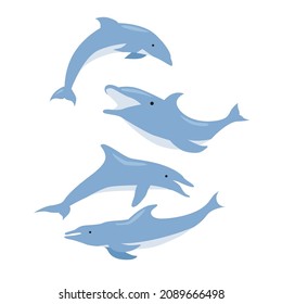 
dolphin flat illustration and pictures