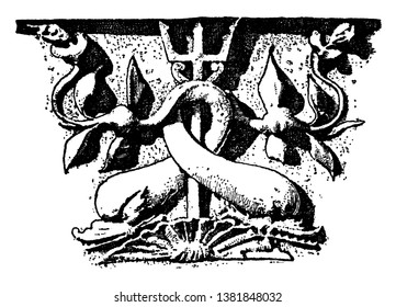 Dolphin Frieze was found in St. Maria dell Anima, vintage line drawing or engraving illustration.