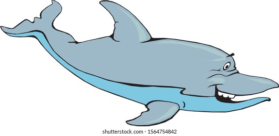 Dolphin. Funny dolphin smiles and has fun.