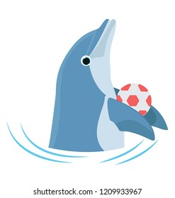 
Dolphin game with the ball 
