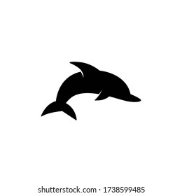 Dolphin graphic design template vector isolated illustration