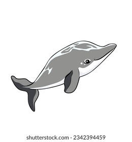 Dolphin gray color animation vector illustration logo