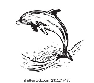 Ilustraciones dibujadas a mano en delfines, vector.