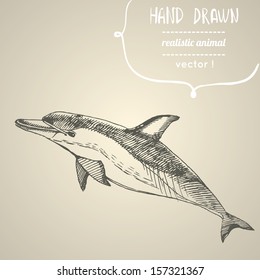 Dolphin. Hand drawn vector illustration. Can be used separately from your design.