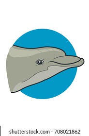 Dolphin head. Vector Illustration