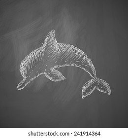 dolphin icon