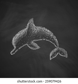 dolphin icon