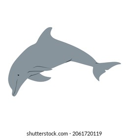 Dolphin Icon. Bottlenose dolphin is the most common members of dolphin family. 