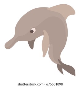 Dolphin icon. Cartoon illustration of dolphin vector icon for web isolated on white background