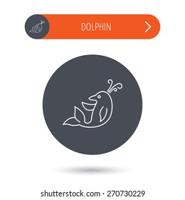 Dolphin icon. Cetacean mammal sign. Delphinidae with fountain symbol. Gray flat circle button. Orange button with arrow. Vector