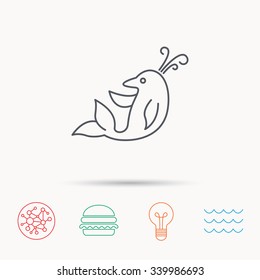 Dolphin icon. Cetacean mammal sign. Delphinidae with fountain symbol. Global connect network, ocean wave and burger icons. Lightbulb lamp symbol.