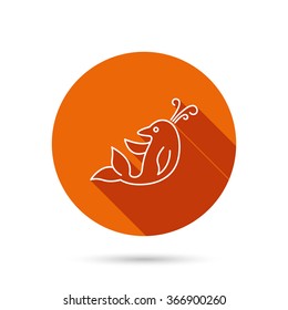 Dolphin icon. Cetacean mammal sign. Delphinidae with fountain symbol. Round orange web button with shadow.