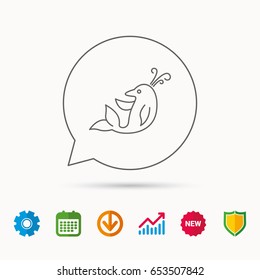 Dolphin icon. Cetacean mammal sign. Delphinidae with fountain symbol. Calendar, Graph chart and Cogwheel signs. Download and Shield web icons. Vector