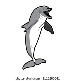 dolphin icon, illustration vector template