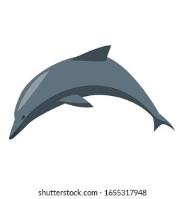Dolphin icon. Isometric of dolphin vector icon for web design isolated on white background