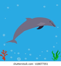 Dolphin, icon, logo, symbol.