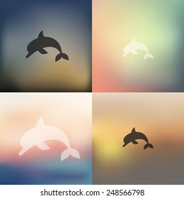 dolphin icon on blurred background