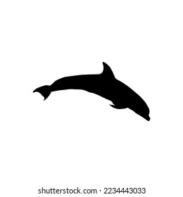 Dolphin icon. Simple style dolphin show poster background symbol. Dolphin brand logo design element. Dolphin t-shirt printing. vector for sticker.