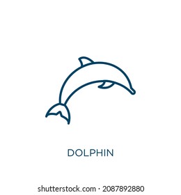 dolphin icon. Thin linear dolphin outline icon isolated on white background. Line vector dolphin sign, symbol for web and mobile