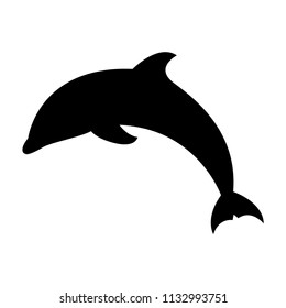 dolphin icon vector