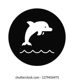 Dolphin icon vector