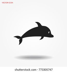 Dolphin icon vector