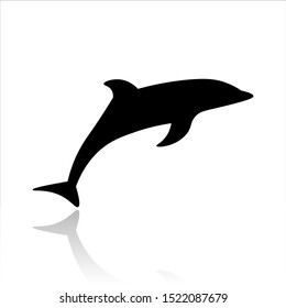 Dolphin icon vector design. Sea animals