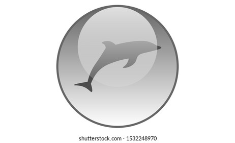 Dolphin icon vector design. Sea animals