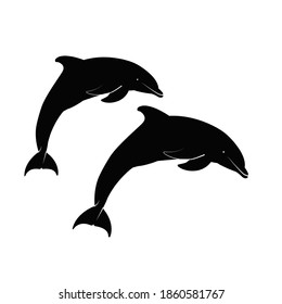 Dolphin icon and vector graphics 