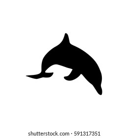 dolphin icon vector illustration