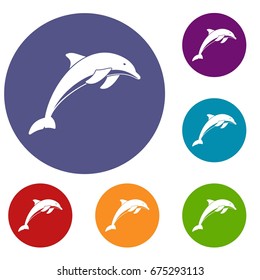 Dolphin icons set in flat circle reb, blue and green color for web